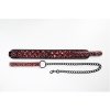 Collar with detachable leash
